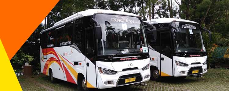 Sewa bus medium Mega Trans Holiday